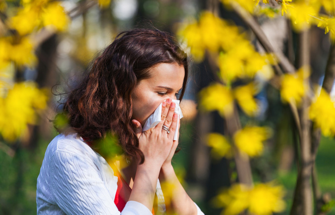 What is an allergy? | Top 7 Most Common AllergiesTop 7 Most Common Allergies