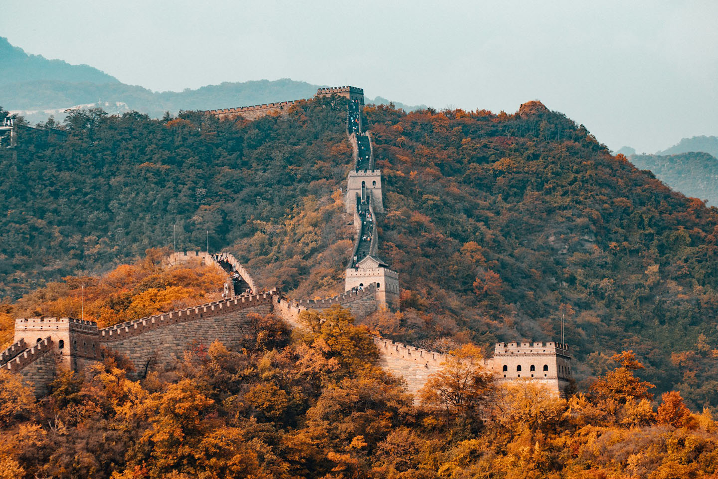 Travel Injections for China