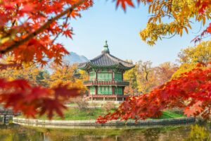 Travel Vaccinations for South Korea