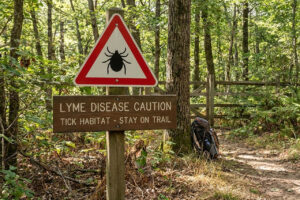 Lyme disease warning sign on forest trail